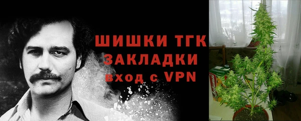 мдпв Горняк