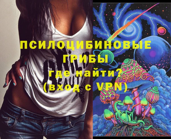 мдпв Горняк
